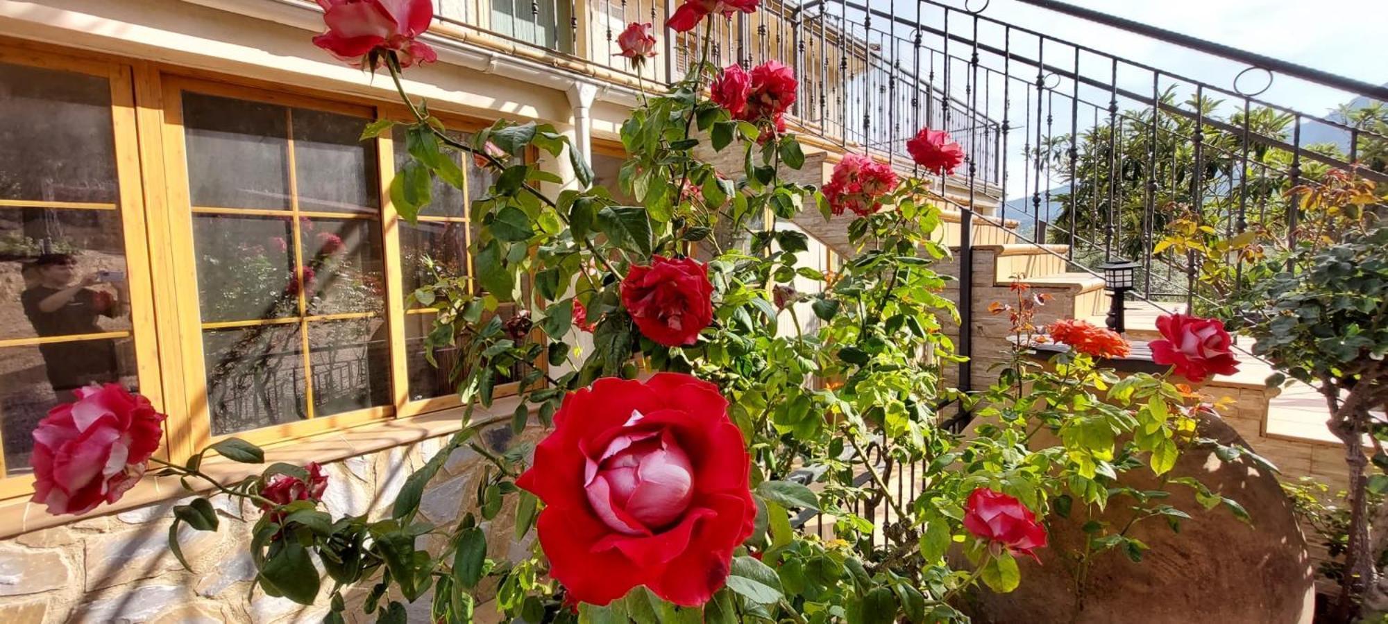 Cerro Lobo Ferienhaus *