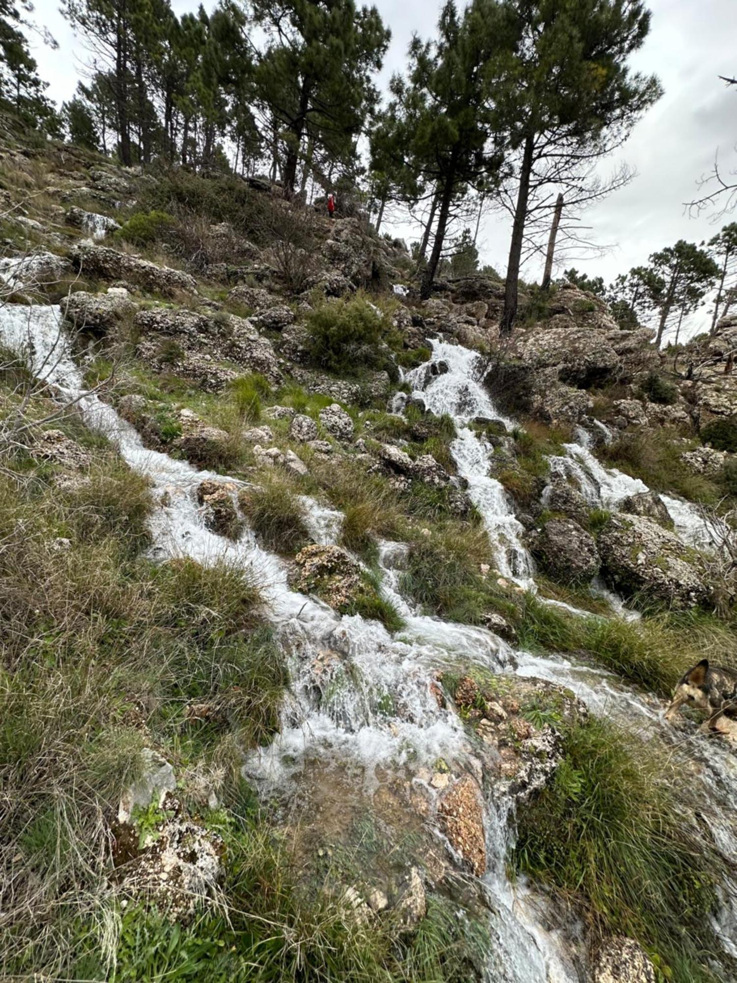 Ferienhaus Cerro Lobo *
