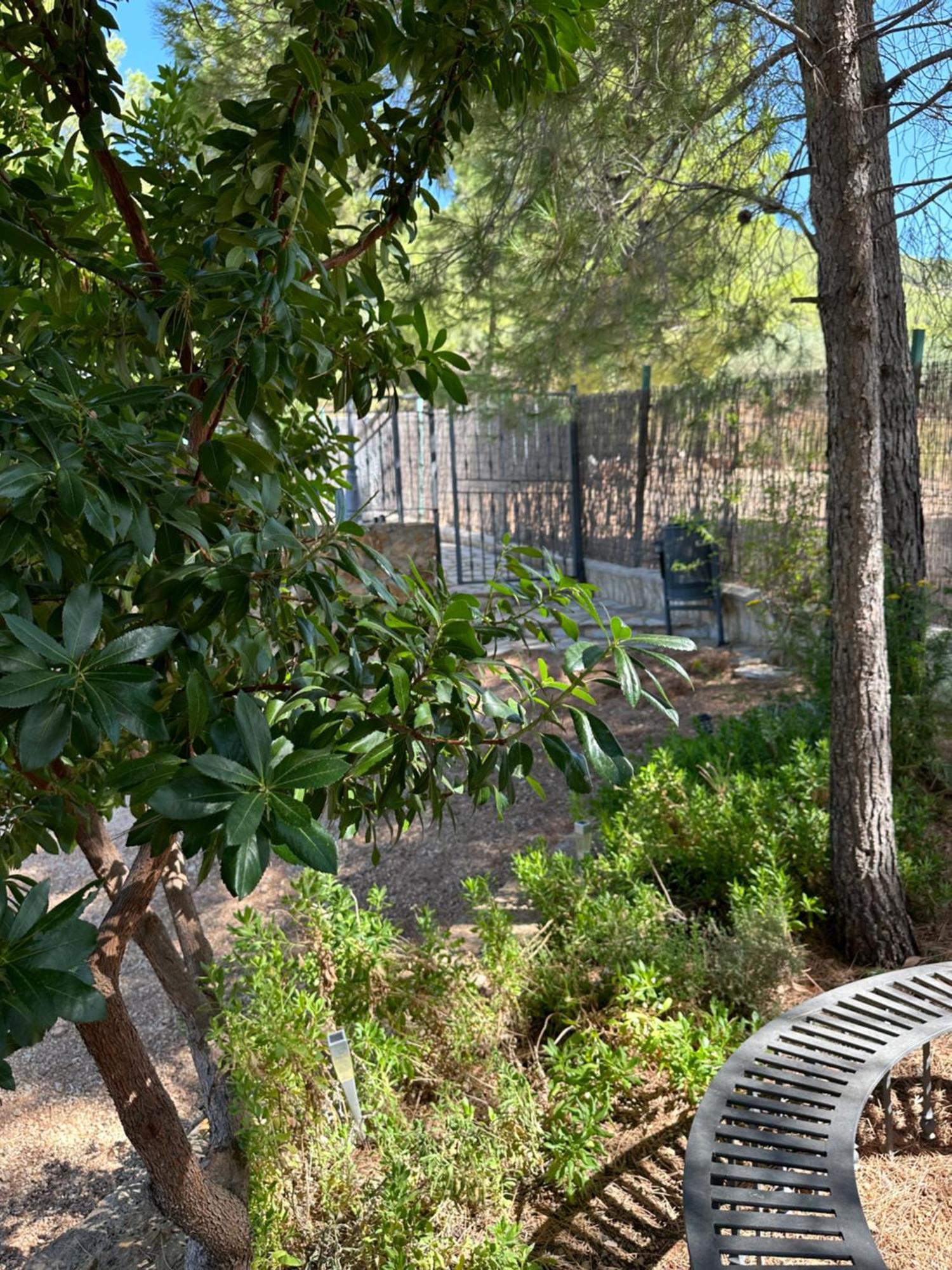 Ferienhaus Cerro Lobo Yeste